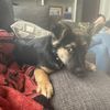 alex_m27