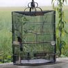 dampitbirdfarm