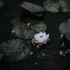 encte_06