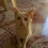 camila_h.h10
