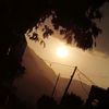 hly_2643