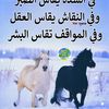 hamzadjebala2