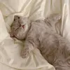 embeiu_tduyen