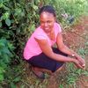 maxine.lubembe