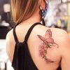 ela_butterfly37
