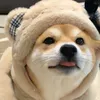 phngvy.td