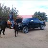 heronpalacios1