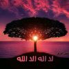 i.am.muslim717