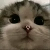 jazmyn_bo