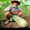 nathan_07154