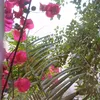 lonamuhammed839