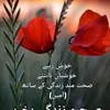 user5444460900334