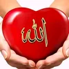 user9832735858628