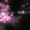 ilovejapan204