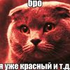 pora_srat228