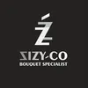 ZIZY.CO