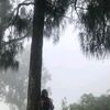 snti_277