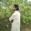 mohabbatullah213150