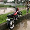 badott25