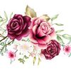 aseel55035
