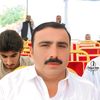 saifi7815
