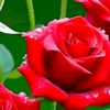 katheeb4