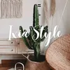 Ixia Style | Home Improvement