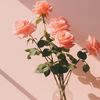 totah_64