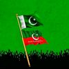 muqaddas_memon