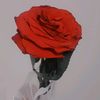 alin17637