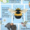 joseandrade7442