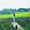 korea.nguyen0