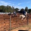 cowboykidd2