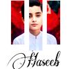haseeb.ayan5