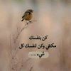 user7521267669760