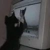 yodaajr3