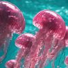 jelly_fish0304