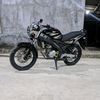 celeng502