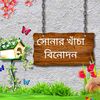 mdshaminislam271