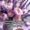 user156351506380