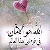 muhammadhammud8
