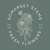 somersetstems1