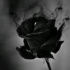 شُآيَبْ عشُريَنْيَ 𓆩F18𓆪