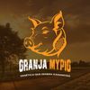 Granja My Pig🐷