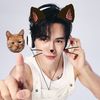 thaiblmg3888