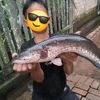 grevaldumayanda05