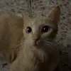 ffatimaa_23