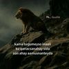hooyokoriz7