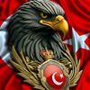 asilturk61