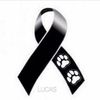 adrianamoreno2520